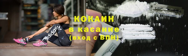 мяу мяу мука Аркадак