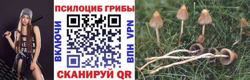 Галлюциногенные грибы MAGIC MUSHROOMS  Купить закладки  Горячий Ключ 